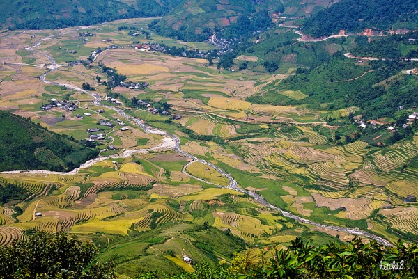 Những d&ograve;ng suối đẹp duy&ecirc;n d&aacute;ng ở T&acirc;y Bắc